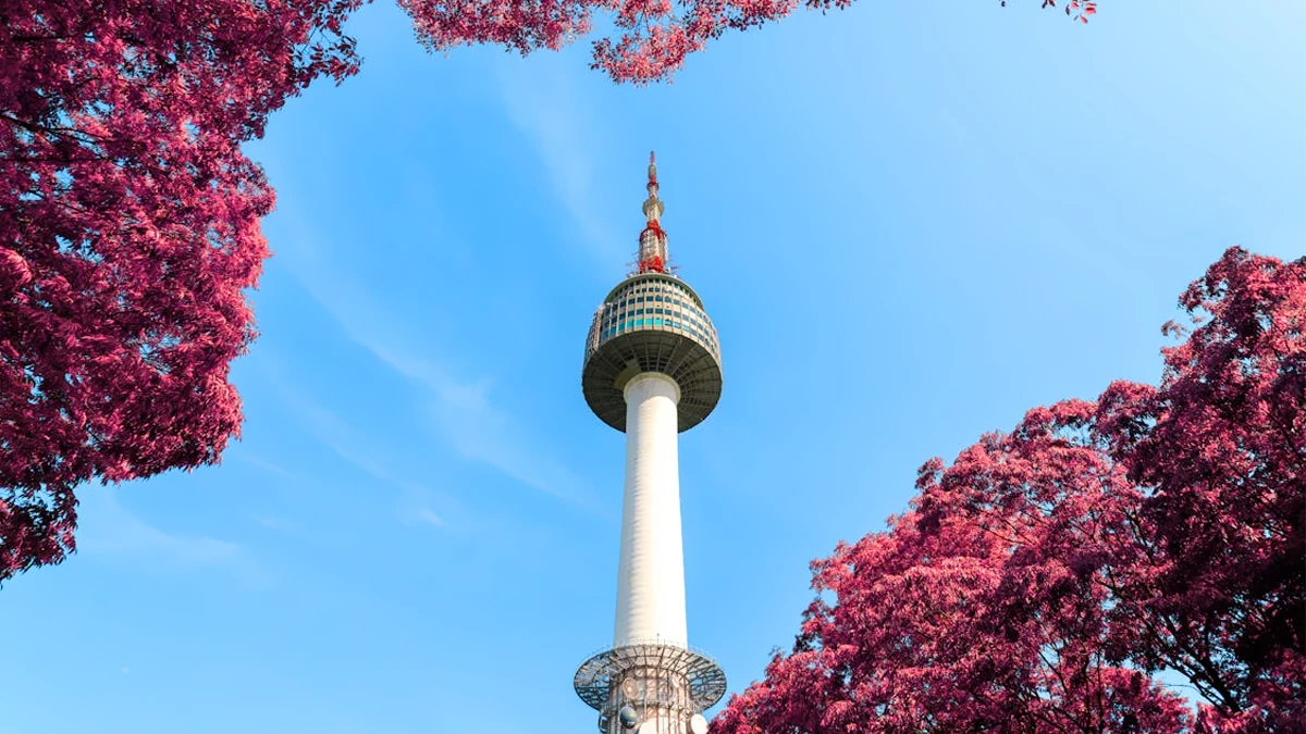 low angle of seoul tower