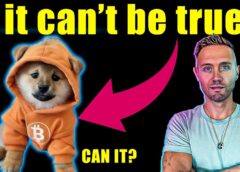 the altcoin that will 100x (dog on bitcoin)